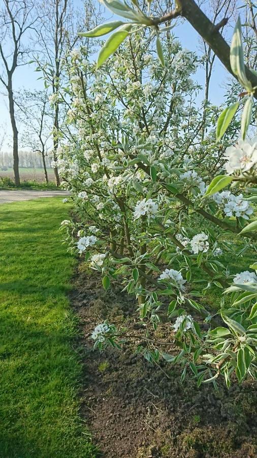 Bed En Breakfast Bernisse Zuidland Bagian luar foto